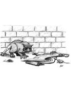 Scott Harshbarger Presents: Dire Rat