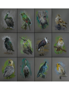 Jennifer S Lange Presents: Various Birds