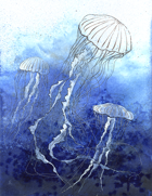 Jennifer S Lange Presents: Jellyfish