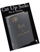 Cut Up Solo - She & Ayesha