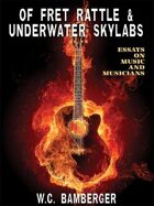 Of Fret Rattle & Underwater Skylabs: Essays on Music and Musicians