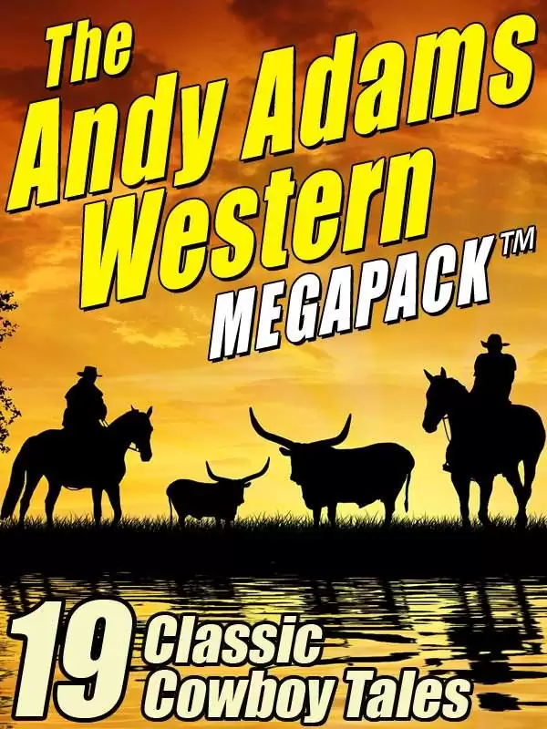 adam west cowboy - Ilustrasi 2