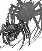 Weekly Beasties: Kind Spider
