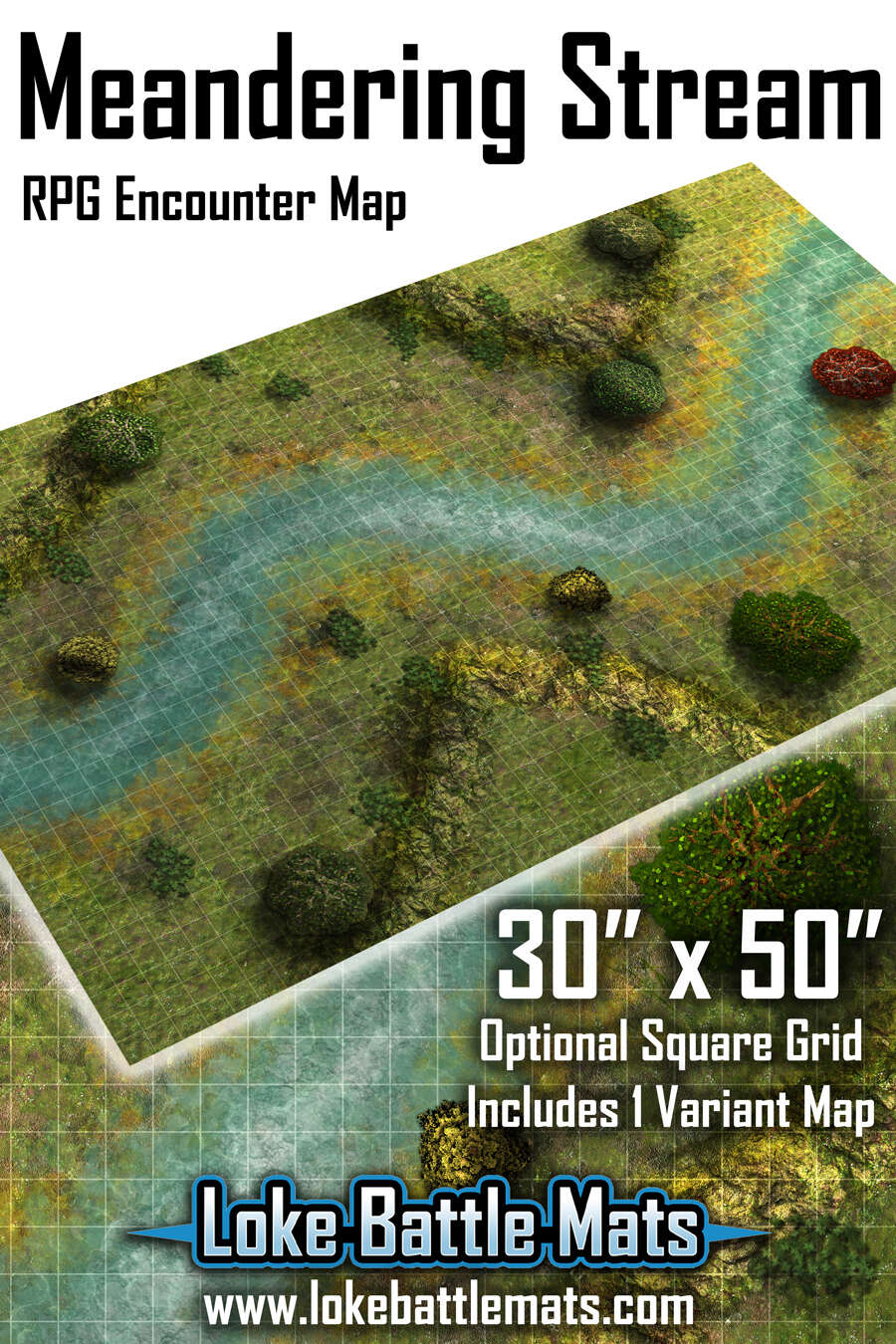 Meandering Stream 30x50 RPG Encounter Map - Loke BattleMats | Fantasy ...