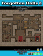 50+ Fantasy RPG Maps 1: (18 of 94) Forgotten Halls 3