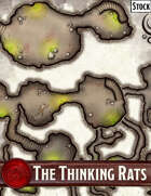 Elven Tower - The Thinking Rats | 20x20 Stock Battlemap