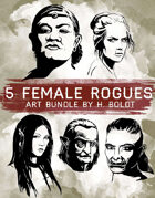 5 Female Rogue Character Stock Illustrations