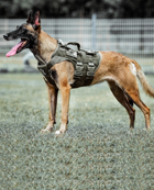 TM 20-252 Dogs