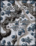 Critical Trails Winter: Forest Foothills