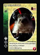 Dj Hedgehog - Custom Card