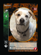 Steve - Custom Card