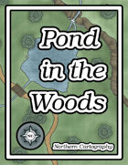 Pond in the Woods