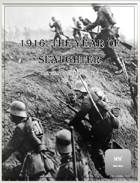 The Year of Slaughter: Armies on the Western front during 1916