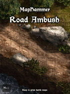 Road Ambush