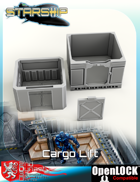 Starship Cargo Lift
