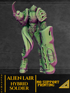 AELAIR12 - Hybrid Soldier