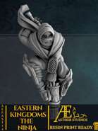 AEEAST14 - The Ninja