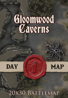 Seafoot Games - Gloomwood Caverns | 20x30 Battlemap
