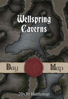 Seafoot Games - Wellspring Caverns | 40x30 Battlemap
