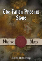30x20 Battlemap - The Fallen Phoenix Stone (Night)