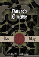 30x20 Battlemap - Nature’s Crucible