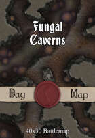 40x30 Battlemap - Fungal Caverns