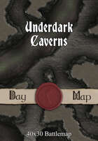 40x30 Battlemap - Underdark Caverns