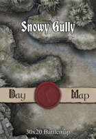 30x20 Battlemap - Snowy Gully