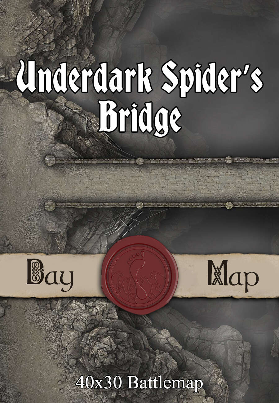 40x30 Battlemap - Underdark Spider’s Bridge - Seafoot Games | Roads ...