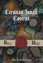 40x30 Battlemap - Cerulean Jungle Caverns