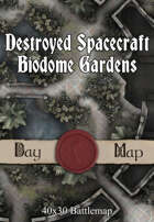 40x30 Battlemap - Destroyed Spacecraft Biodome Gardens