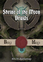 40x30 Battlemap - Shrine of the Moon Druids