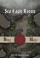 40x30 Battlemap - Sea Eagle Roosts