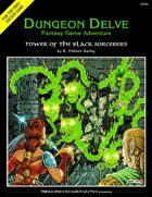 Tower of the Black Sorcerers (DUNGEON DELVE #1)