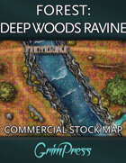 Stock Map: Forest - Deep Woods Ravine
