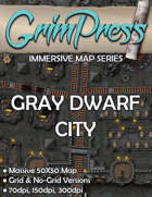 Immersive Map - Grey Dwarf City