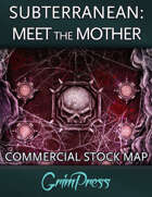 Stock Map: Subterranean - Meet the Mother