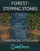 {Commercial} Stock Map: Forest - Stepping Stones