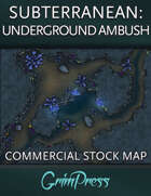 {Commercial} Stock Map: Subterranean - Underground Ambush