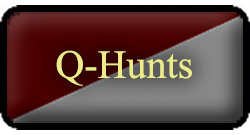 Q-Hunts
