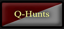 Q-Hunts