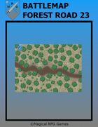 Battlemap Forest Road 23