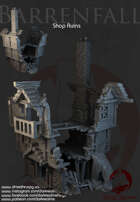Dark Realms - Barrenfall - Shop Ruins