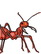 Ant Giant Hive Warrior