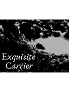 Exquisite Carrier (or: Five of My Children In a Single Grave)