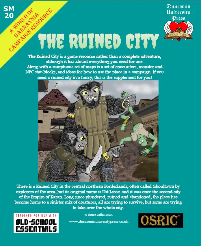 Cover of SM20 - The Ruined City