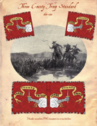 1660-1710 Three County Troop Standard
