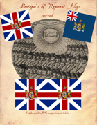 1745-1746 Montague's 69th Regiment Flags