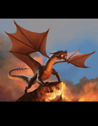 Dragon - Stock Illustration