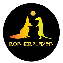 Born2BPlayer